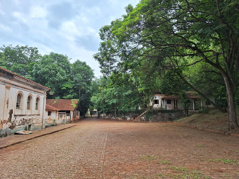 Visita ao futuro centro cult do matadouro - 02-12-2025