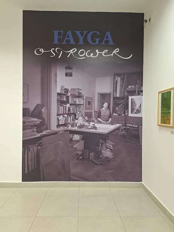 Inauguração da exposição Ocupação Fayga Ostrower
